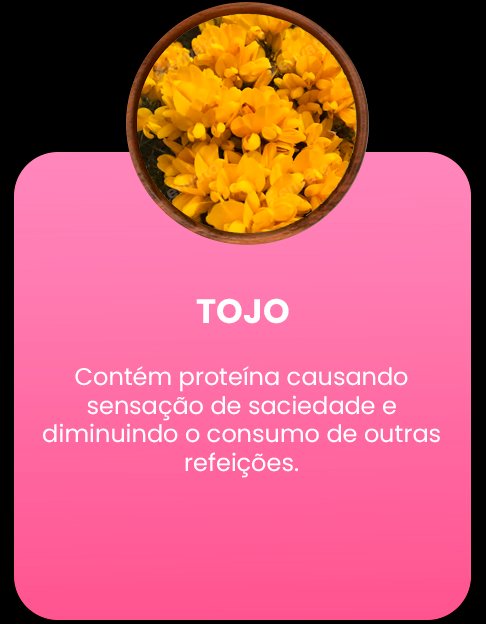 iNGREDIENTES Prancheta 1 copiar 3