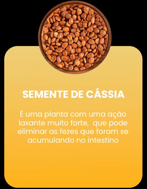 iNGREDIENTES dry Prancheta 1 copiar 2