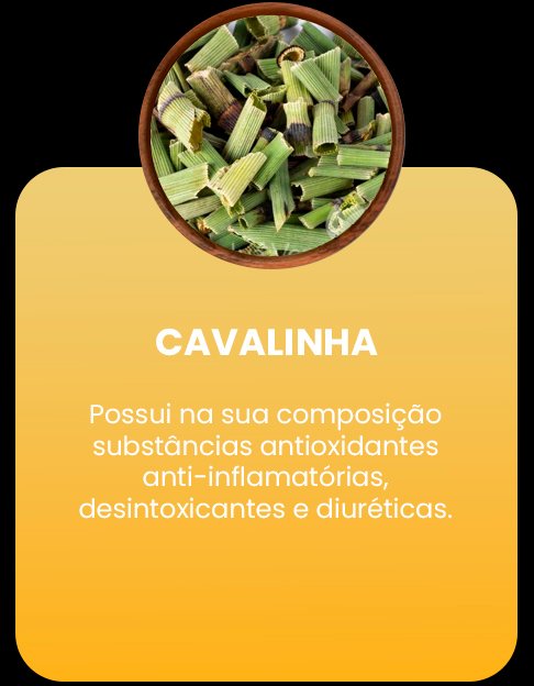 iNGREDIENTES dry Prancheta 1 copiar 7
